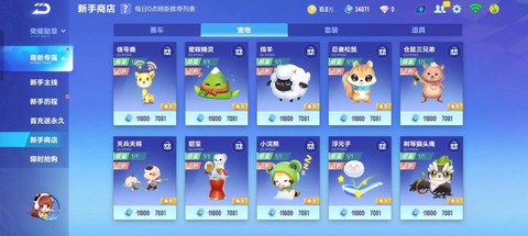 qq飞车宠物开什么