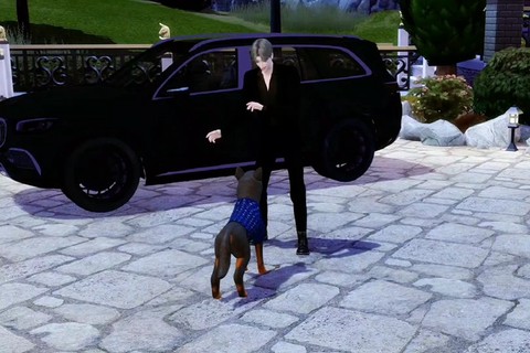 模拟人生4如何拖地[图2]