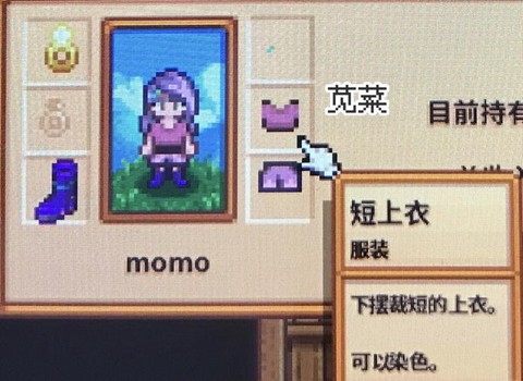 星露谷物语怎么做衣服