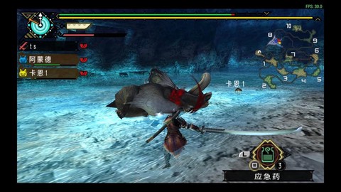 怪物猎人疾走是什么[图2]