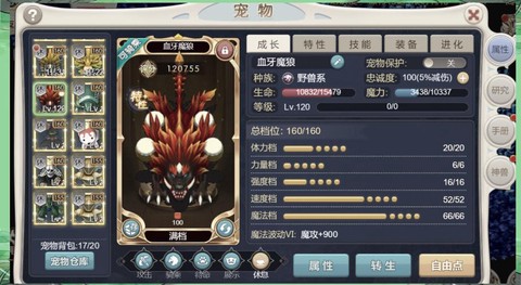 魔力宝贝宠物怎么得