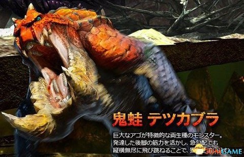 怪物猎人4养什么怪