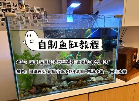 迷你世界怎么做鱼缸[图1]