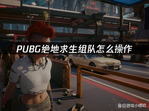 绝地大逃杀怎么组队啊[图2]