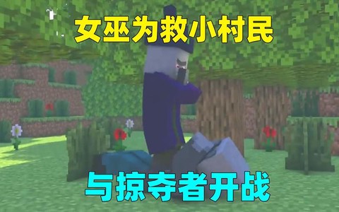 我的世界女巫怎么来的