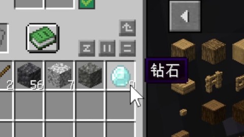 我的世界如何挖到钻石[图2]